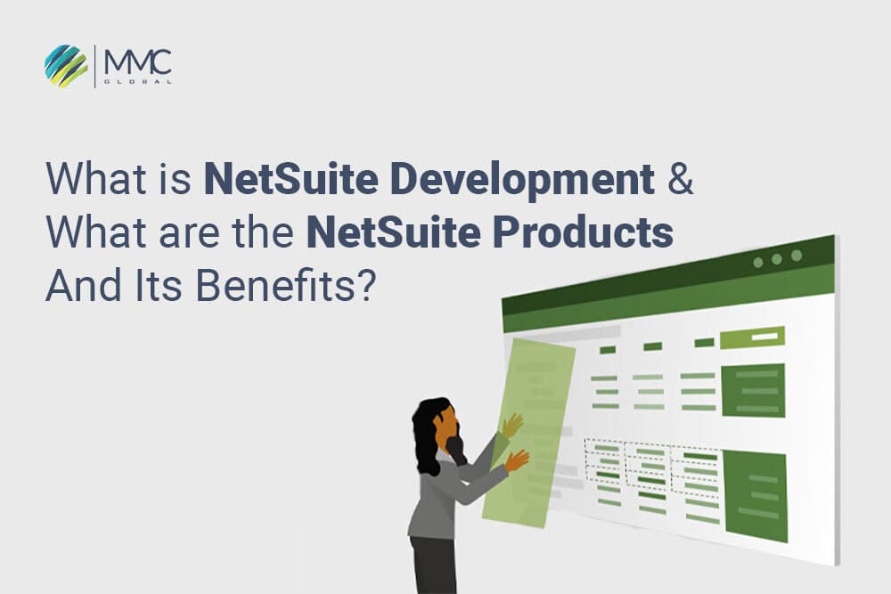 NetSuite dev Products