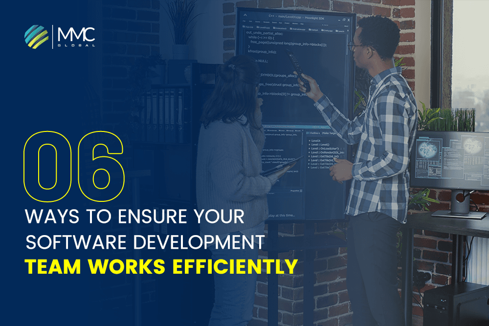 software development team
