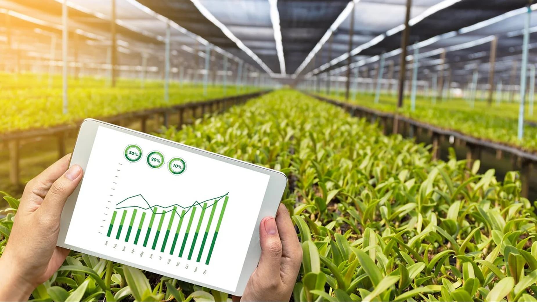 Agriculture industry digital operations