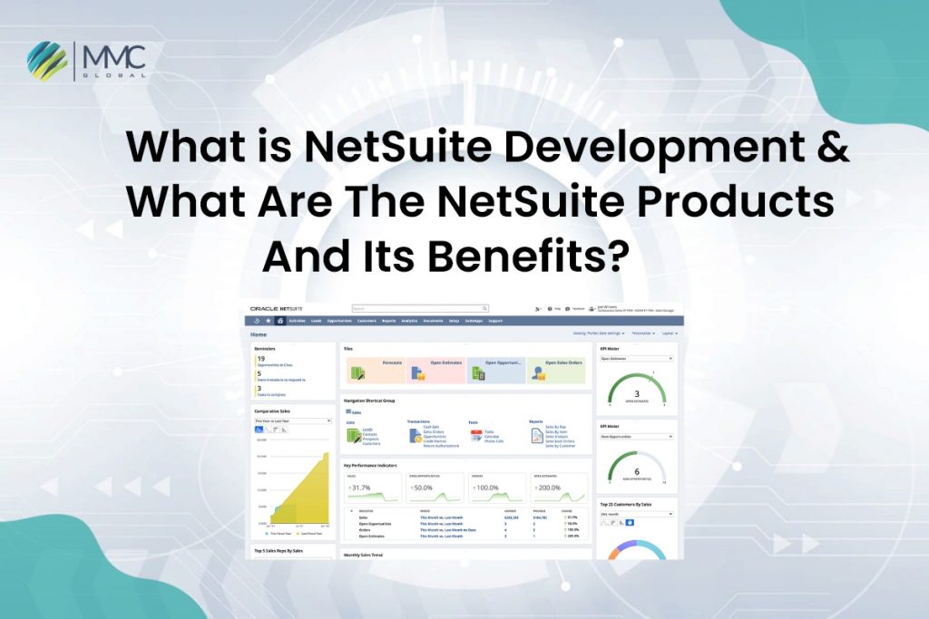what isNetSuite Development