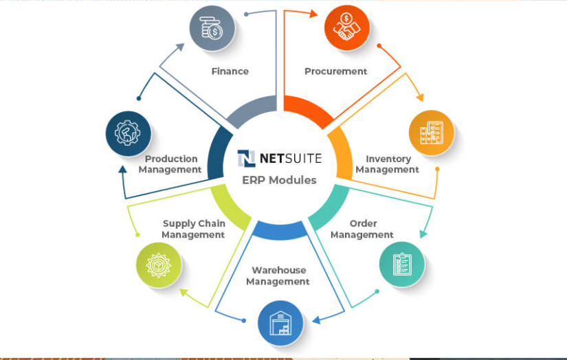 NetSuite Module