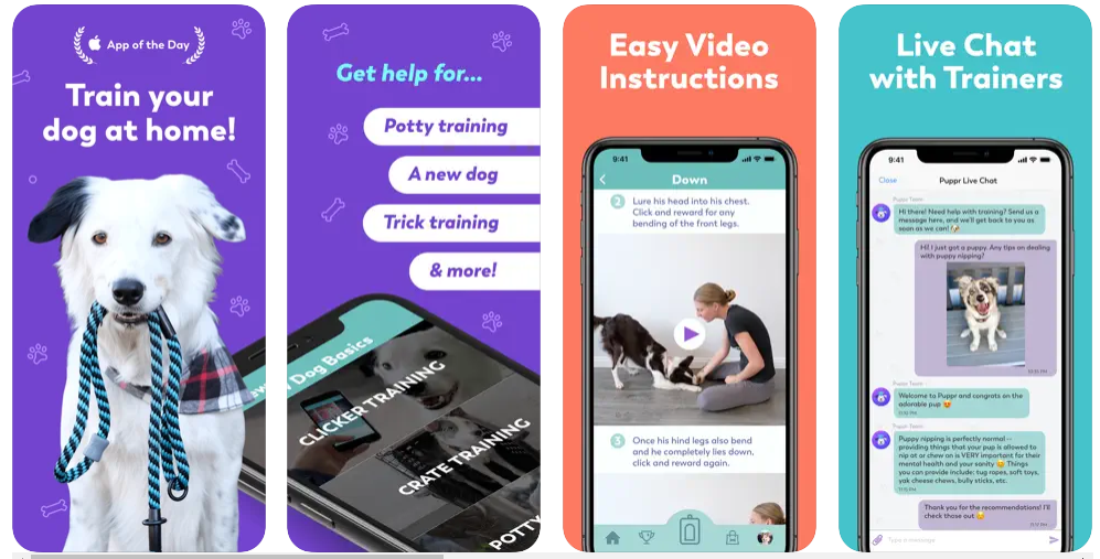 puppr app for dogs