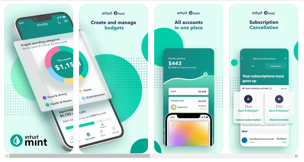 Mint fintech app