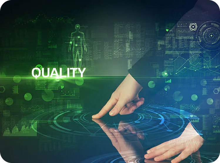 Data Quality and Cleansing